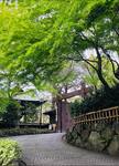 深大寺_新緑_1.jpg